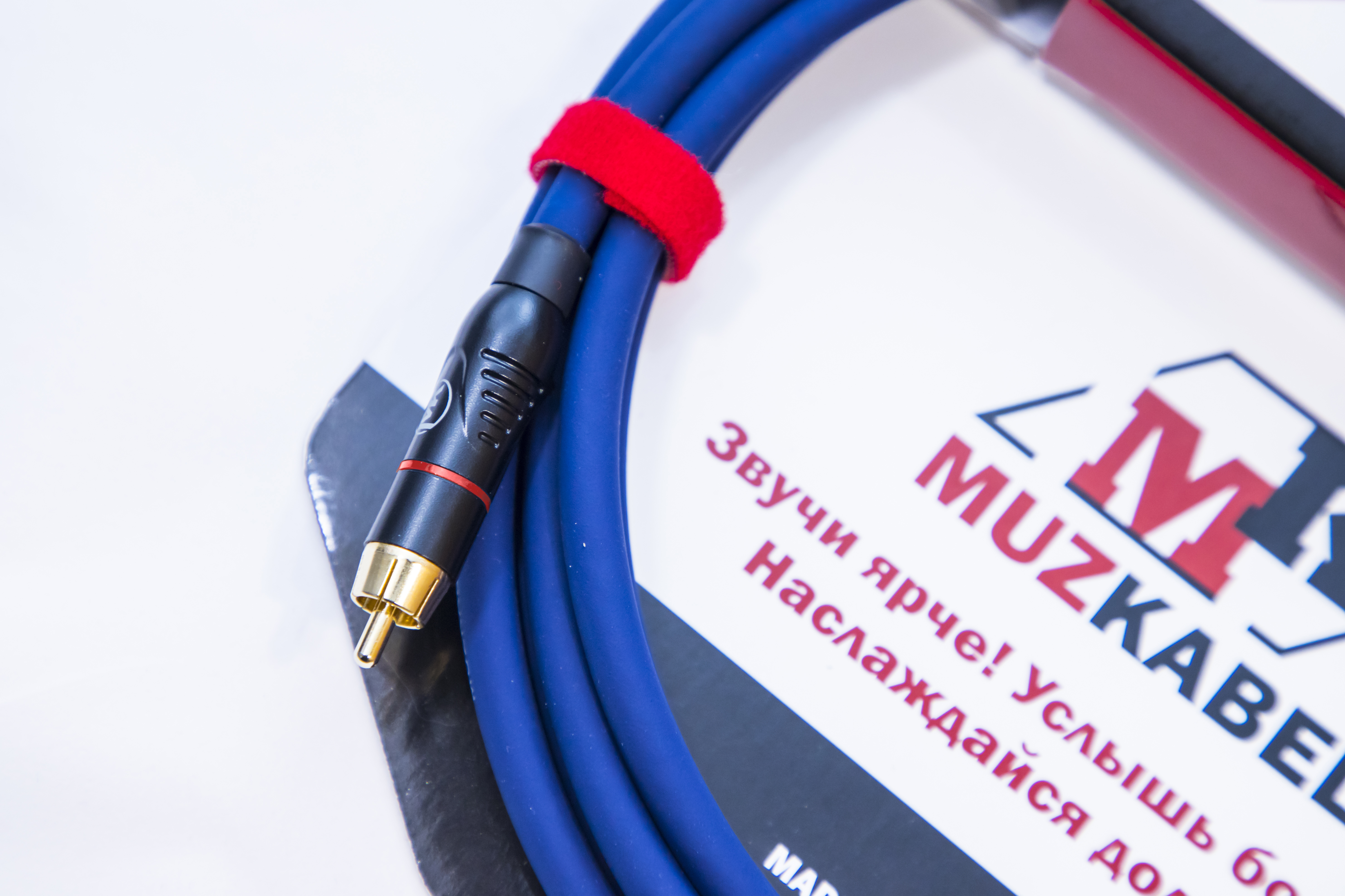MUZKABEL RCA